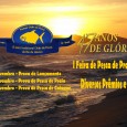 WWW.PAMPO47ANOS.COM.BR O evento : As provas ABEL RIBEIRO DE MOURA FILHO E DOROTHEIA HERZ são provas de pesca variada em […]